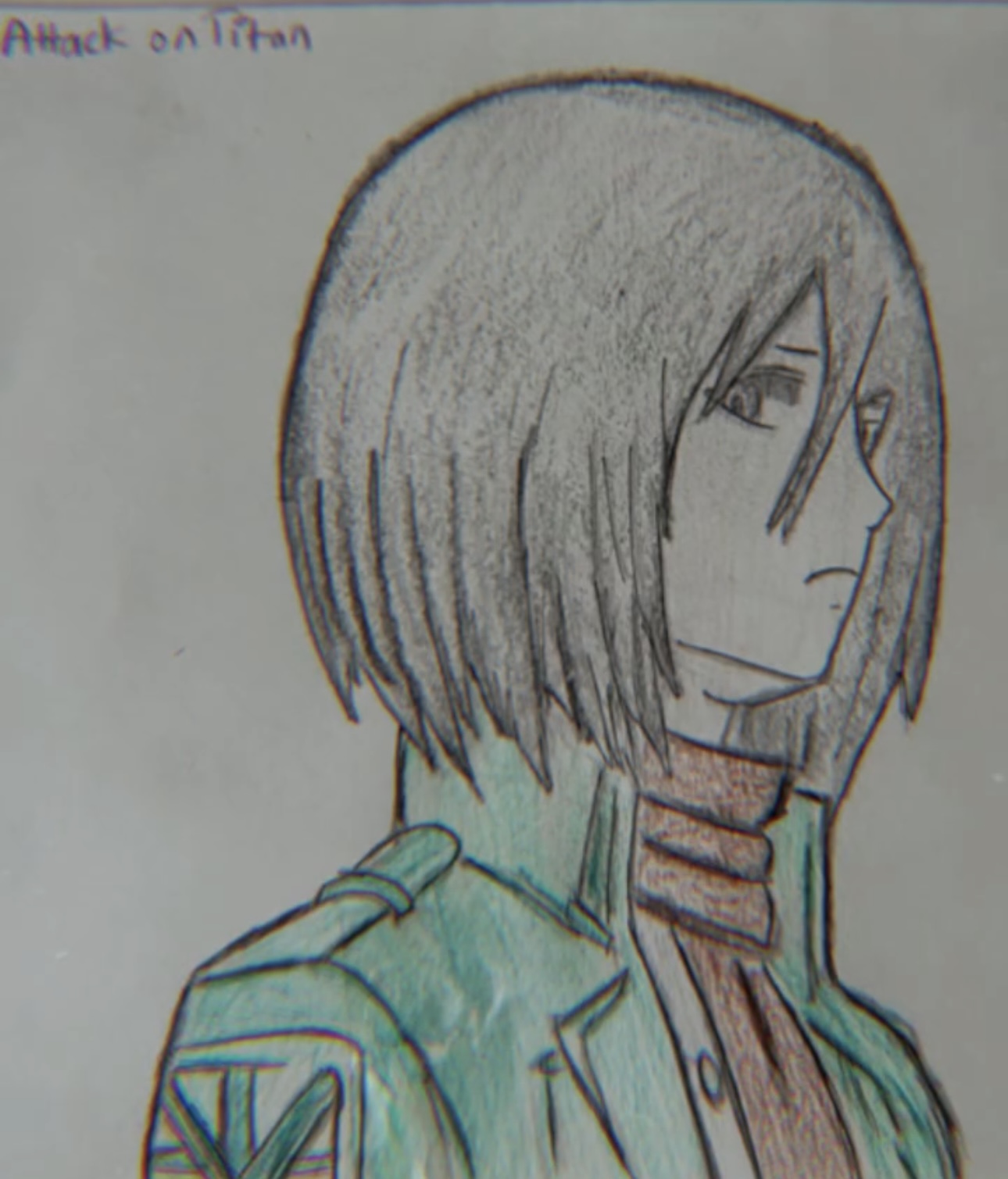 Mikasa Ackerman - Attack on Titan